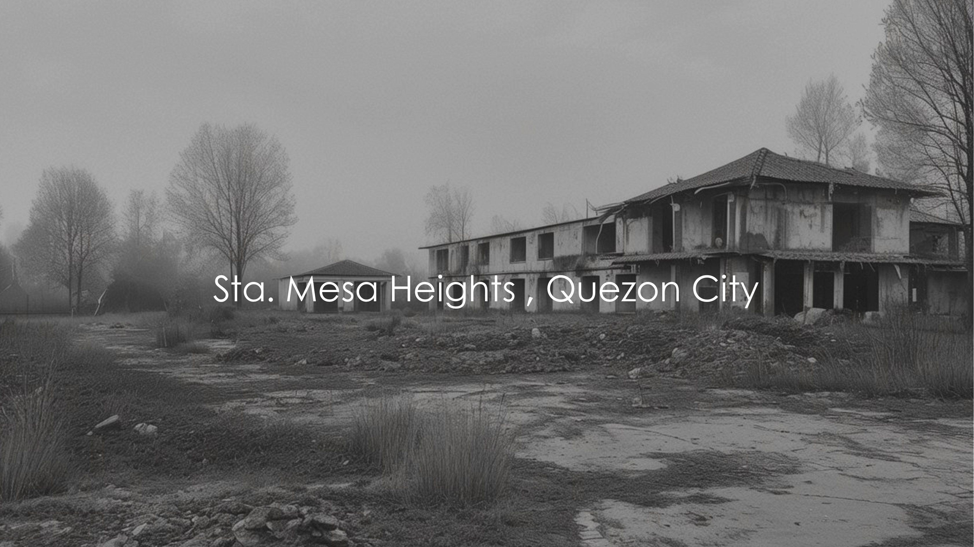 800SqmCommercialLotforSalewithStructureinSta.MesaHeights,QuezonCity-1.jpg